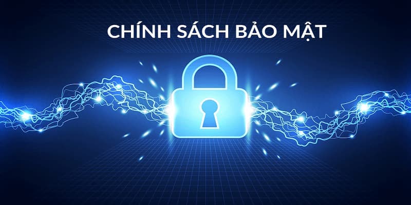 Dữ liệu được phép thu thập trong chính sách bảo mật 69VN